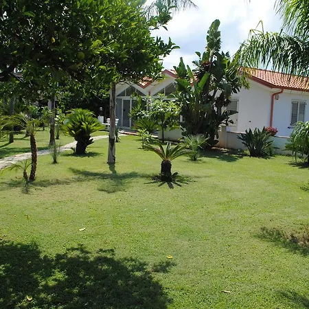 Hotel Damanse 3*