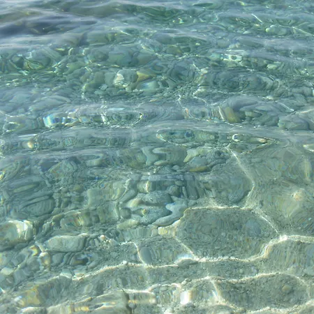 Damanse Santa Domenica (Vibo Valentia)