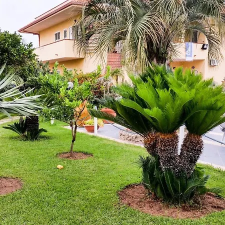 Hotel Damanse